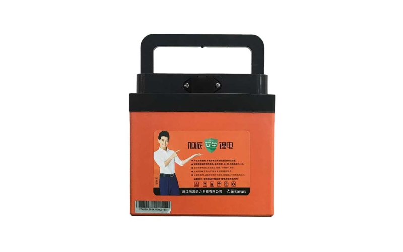 新國(guó)標(biāo)48V16-24Ah磷酸鐵鋰電池